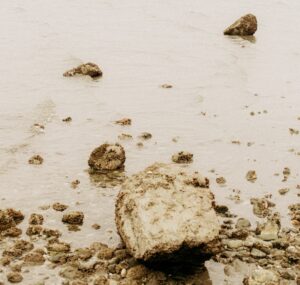 gray rocks on white sand during daytime