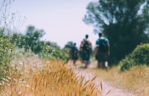 three people walking towards the tree